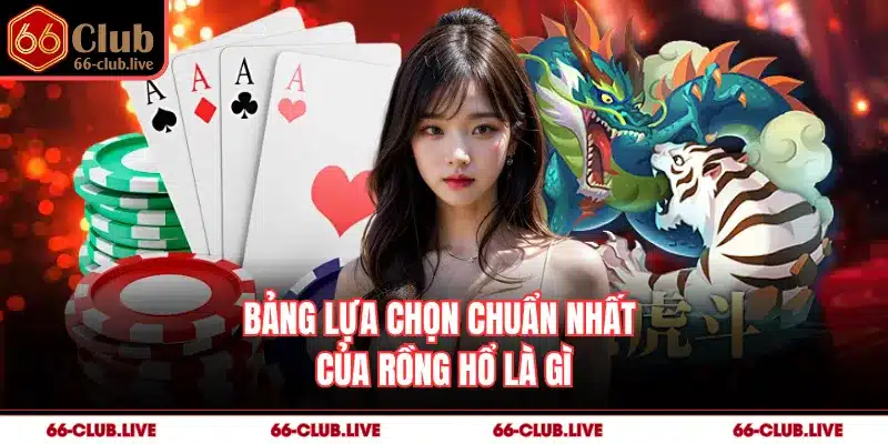 Bảng lựa chọn chuẩn nhất của rồng hổ là gì