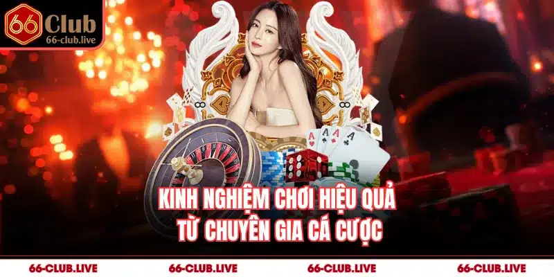 Kinh nghiệm chơi hiệu quả từ chuyên gia cá cược