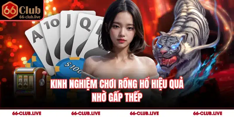 Kinh nghiệm chơi rồng hổ hiệu quả nhờ gấp thếp