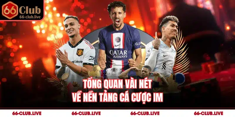 Tổng quan vài nét về nền tảng cá cược IM